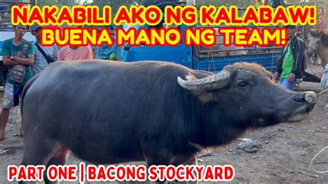 ‘Bingo na ako!’ Team Kalabaw, kinabahan nang .
